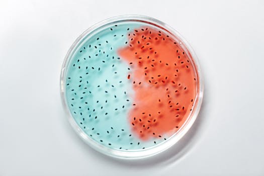 contact peptide slim labs
